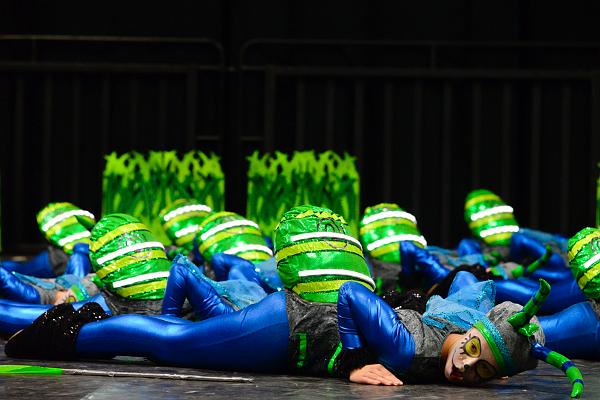20151121Tanztunier der Karnevalisten __51.jpg - Soul-city- Dancers TSV Sa. 21.11.2015,Hannover (Foto:Herbert Frost)